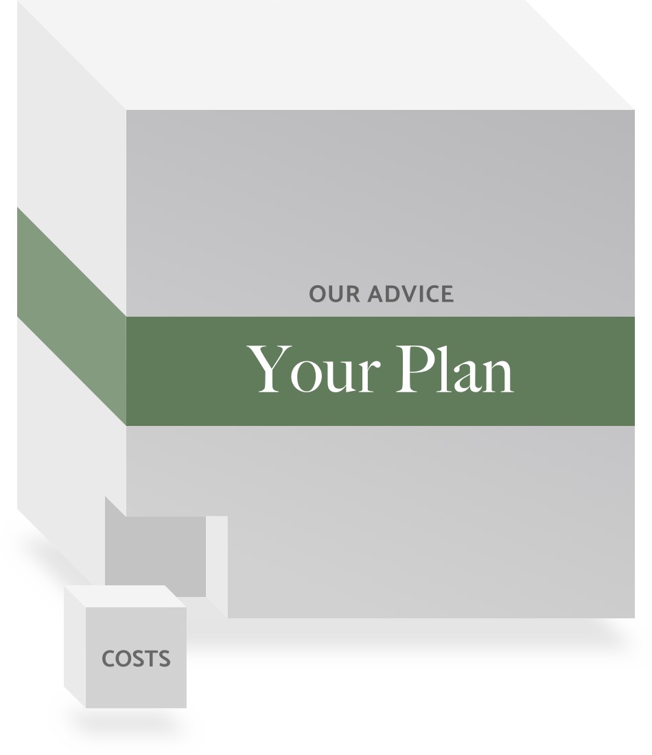 cost of advice 